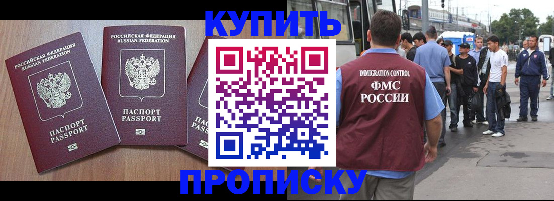 прописка 2025 в Александровске